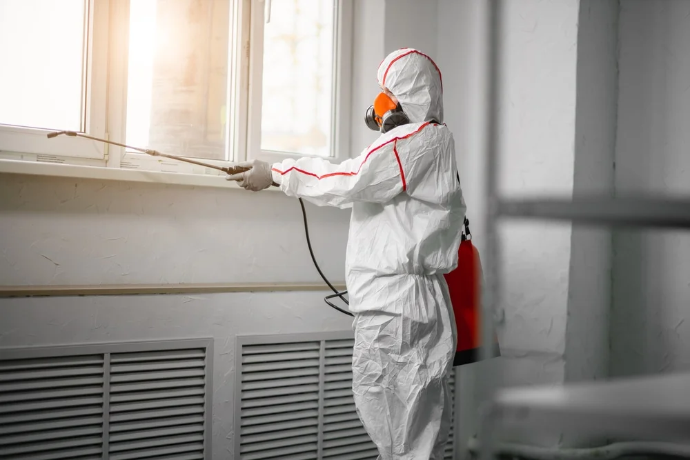 Professional mold remediation services in Seward, IL